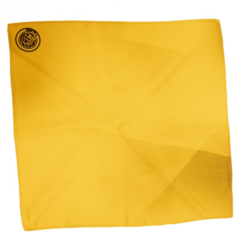 Lommetørkle i silke